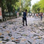 DUSU election