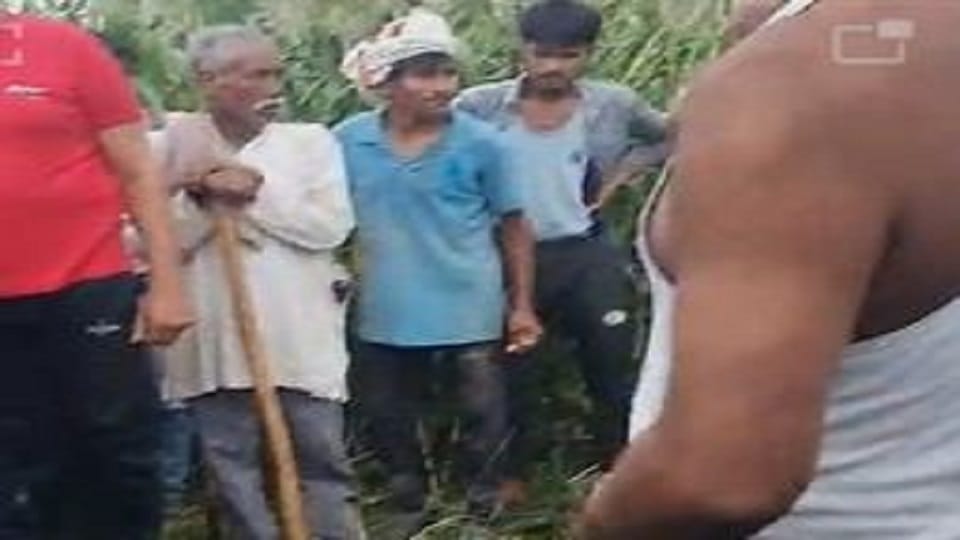 Woman's dead body found in millet field clothes in disarray family shocked to see condition