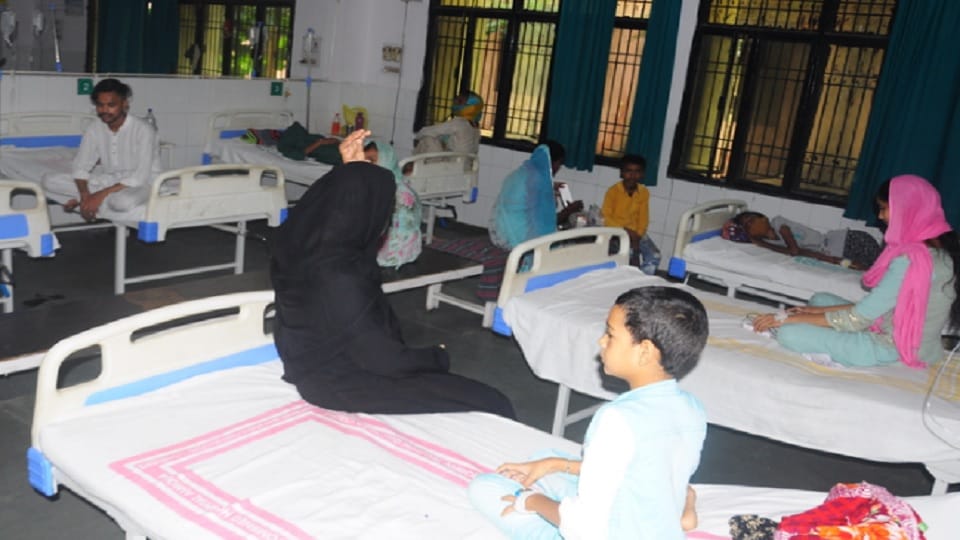 Amroha: Two more women died due fever, dengue patients are continuously found in district