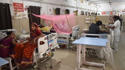 डेंगू का डंक: वाराणसी में हर घर में बीमार, रिपोर्ट के लिए दो से तीन दिन का इंतजार, अस्पतालों में जगह नहीं Dengue outbreak Sick in every house in Varanasi wait for two to three days for report no space in hospitals