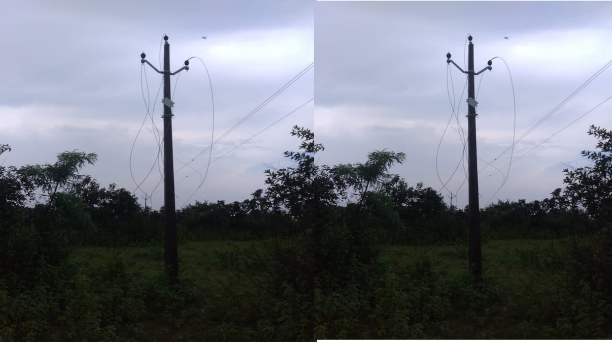 MP Amazing theft in Damoh unknown thieves stole the wire of 11 KV live line villagers shocked