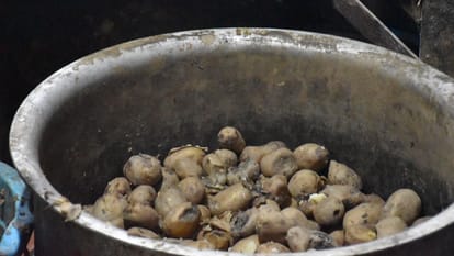 दिखावे की चेकिंग: मुरादाबाद रेलवे स्टेशन पर सड़े आलू से तैयार हो रहे समोसे, खाने की गुणवत्ता पर उठे सवाल Moradabad Railway Station: Samosas made rotten potatoes being sold, officers are checking show off