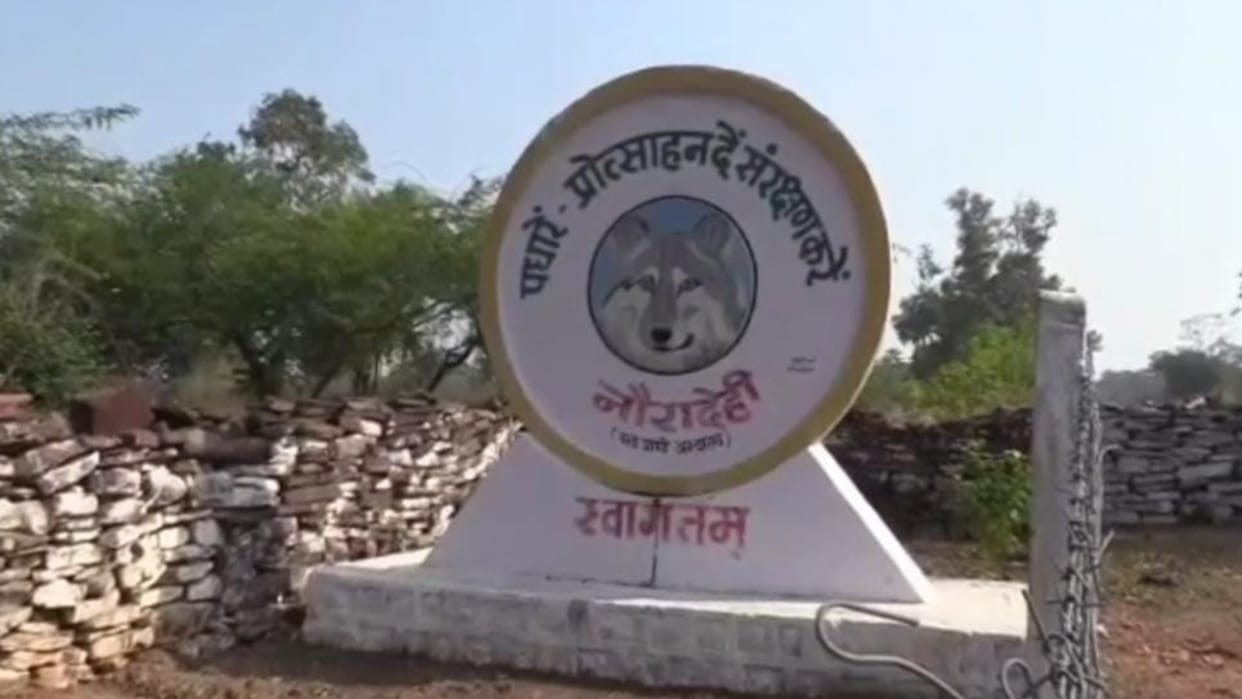 MP declared the sanctuary as the 7th tiger reserve in Sagar