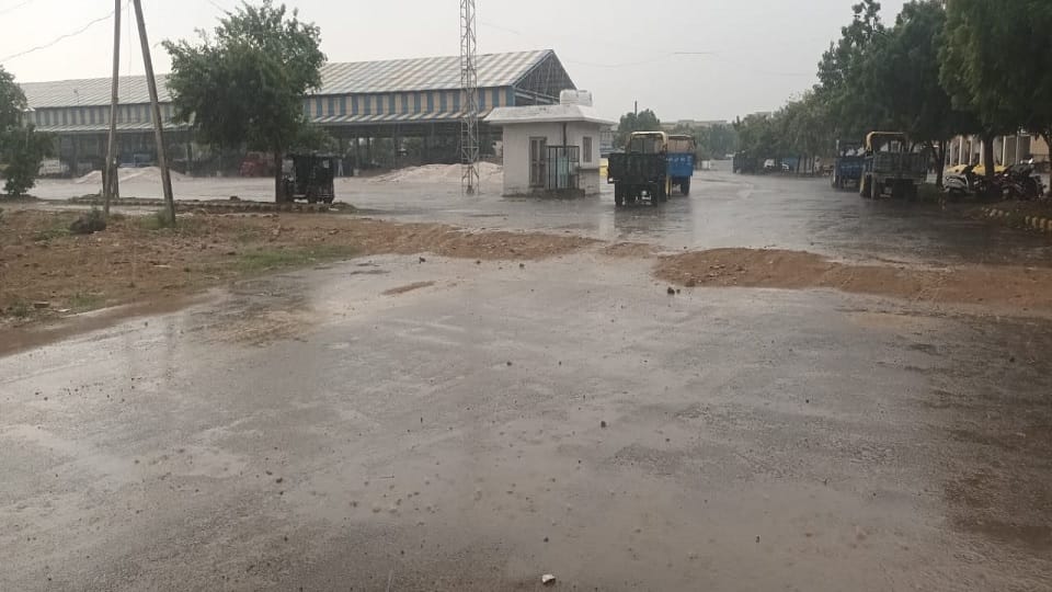 Weather changed in Haryana, Temperature dropped due to sporadic drizzle in Hisar, strong winds blew