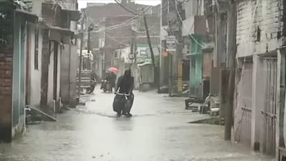 Bihar: दो दिनों की लगातार बारिश में तैरने लगा दरभंगा शहर, DMCH परिसर भी हुआ जलमग्न; मरीज-परिजन हो रहे परेशान Darbhanga city submerged due to two days of continuous rain, DMCH premises also filled with water