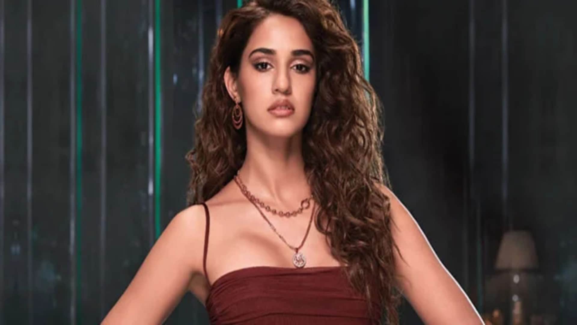 South Movies Will Give Boost To These Stars Career Saif Ali khan Jhanvi Kapoor Disha Patani