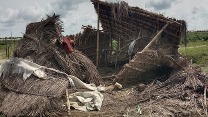 elephants entered the village and destroyed huts in Pilibhit