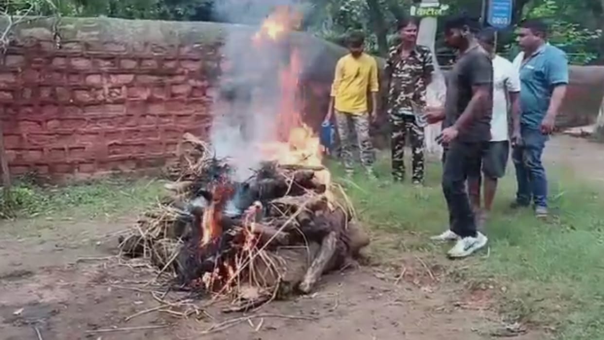 MP News Death of white tigress cub mourning spread in Gwalior Zoo people got emotional at funeral