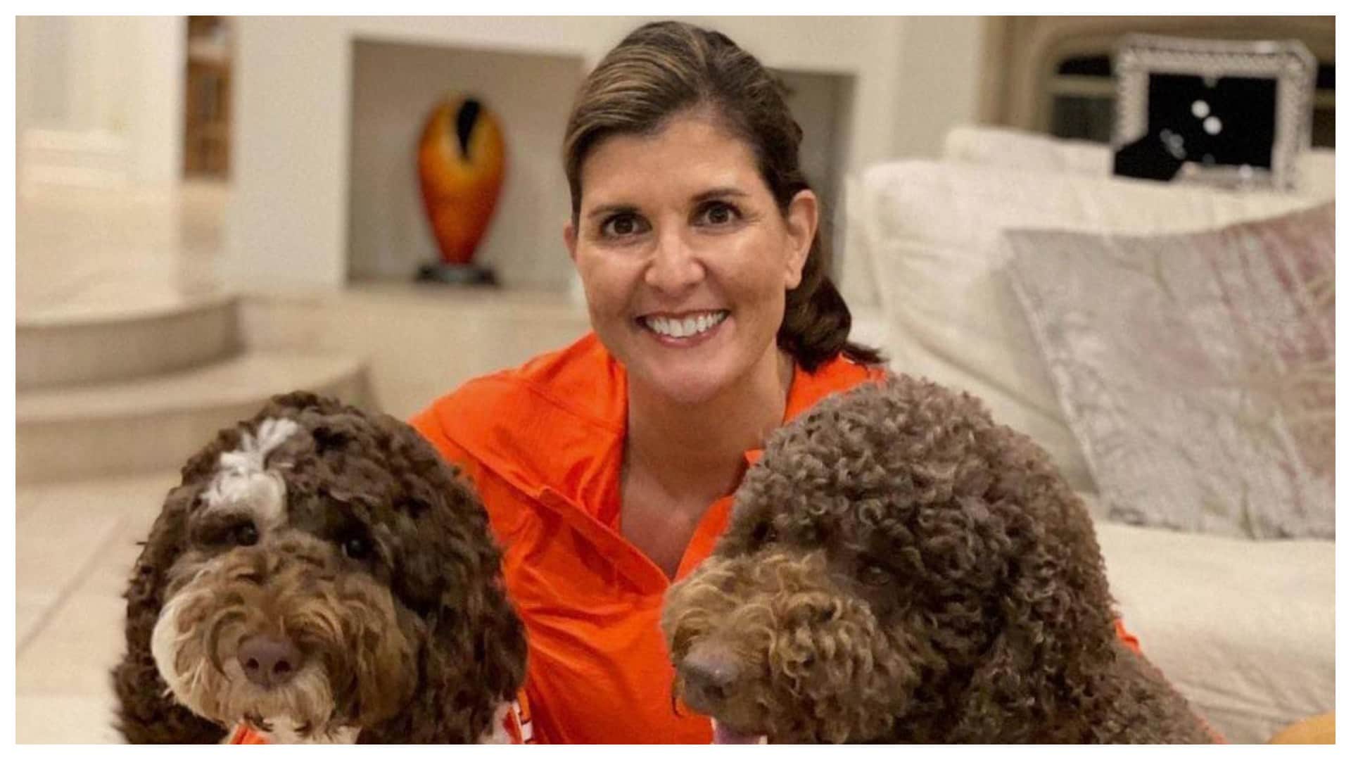 Nikki Haley in america president election 2024 know about her political journey