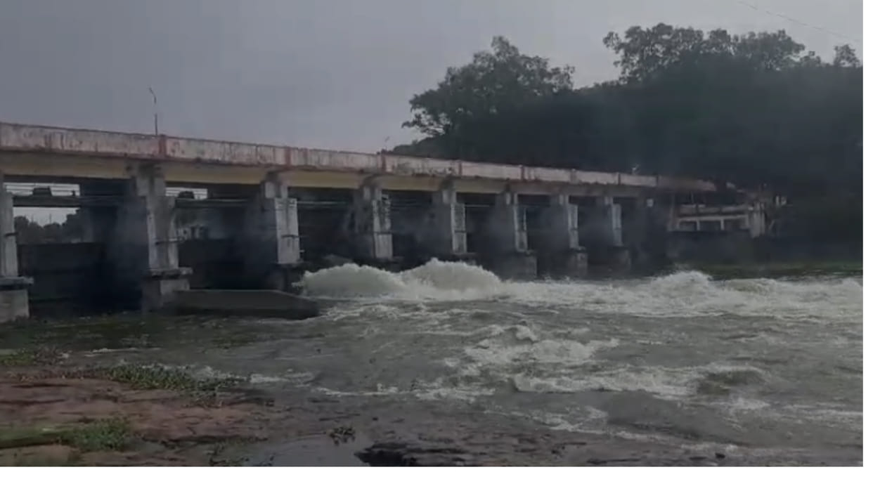 MP A gate of Bhadbhada Dam was opened at 3 oclock in the night such an opportunity came after 20 years