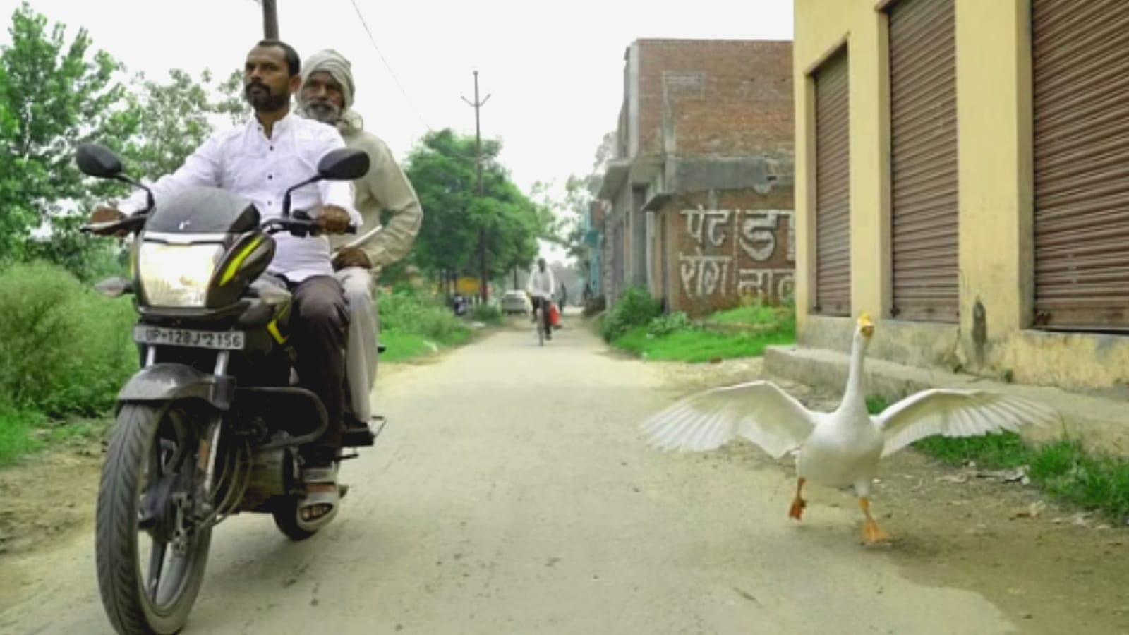 unique friendship story of human and duck, Dayaram and Badal understand only love language in Muzaffarnagr UP