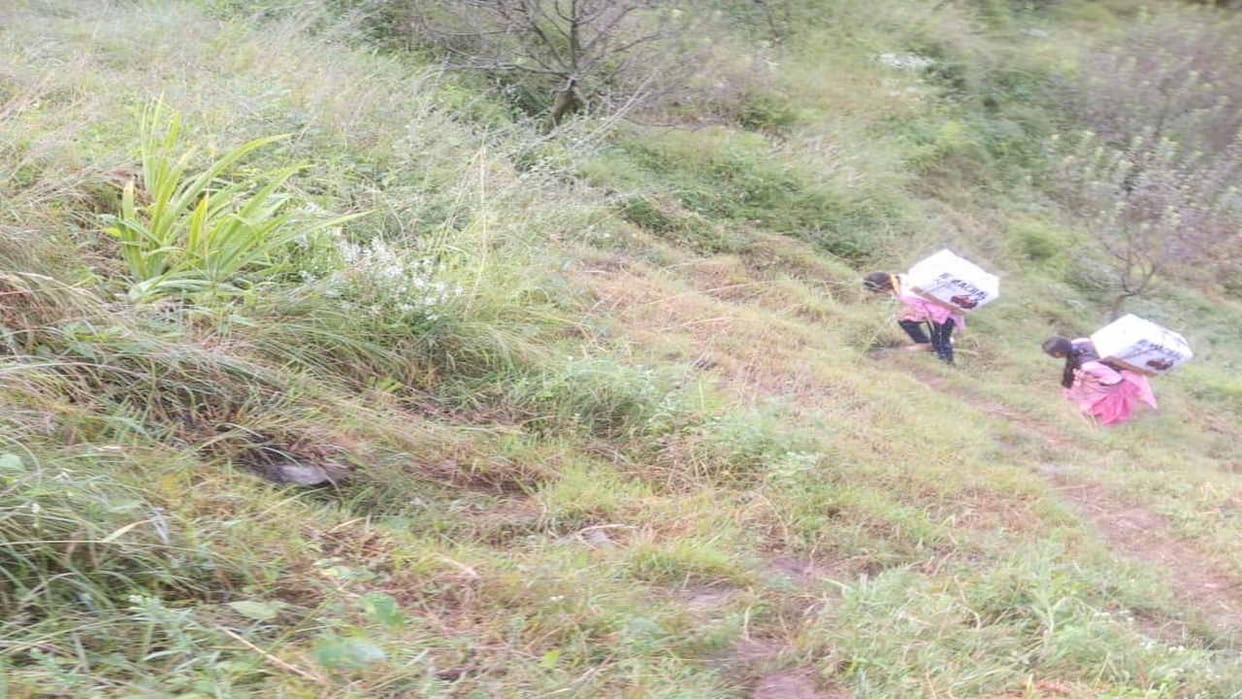 Carrying apples on the back, all the earnings of the orchardist were spent
