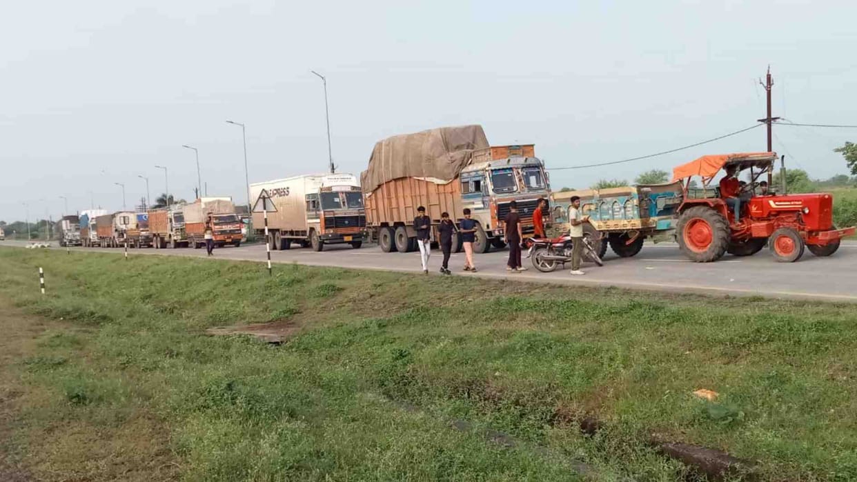Nine cows died due to collision with unknown vehicle in Rajgarh