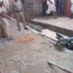 मगरमच्छ को नाली से निकालती रेस्क्यू टीम।