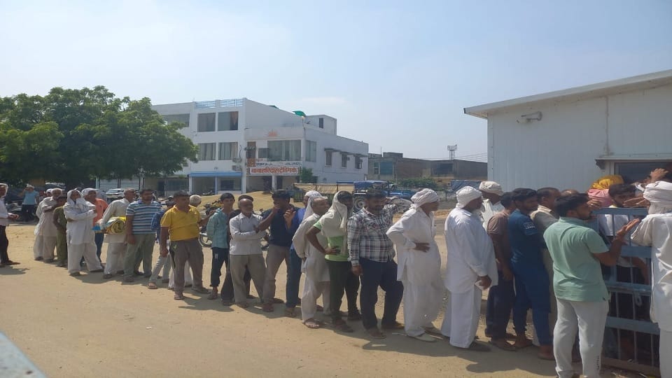 Farmers reach Jhajjar new grain market, Government procurement of paddy and millet not started yet