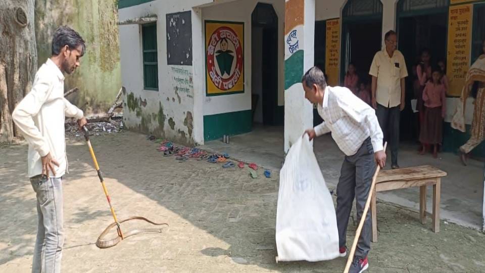 Children got scared after seeing seven feet long snake in school in Mainpuri