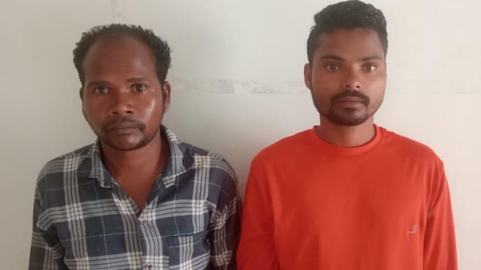Two Naxalites arrested in Bijapur who attacked police set vehicles on fire