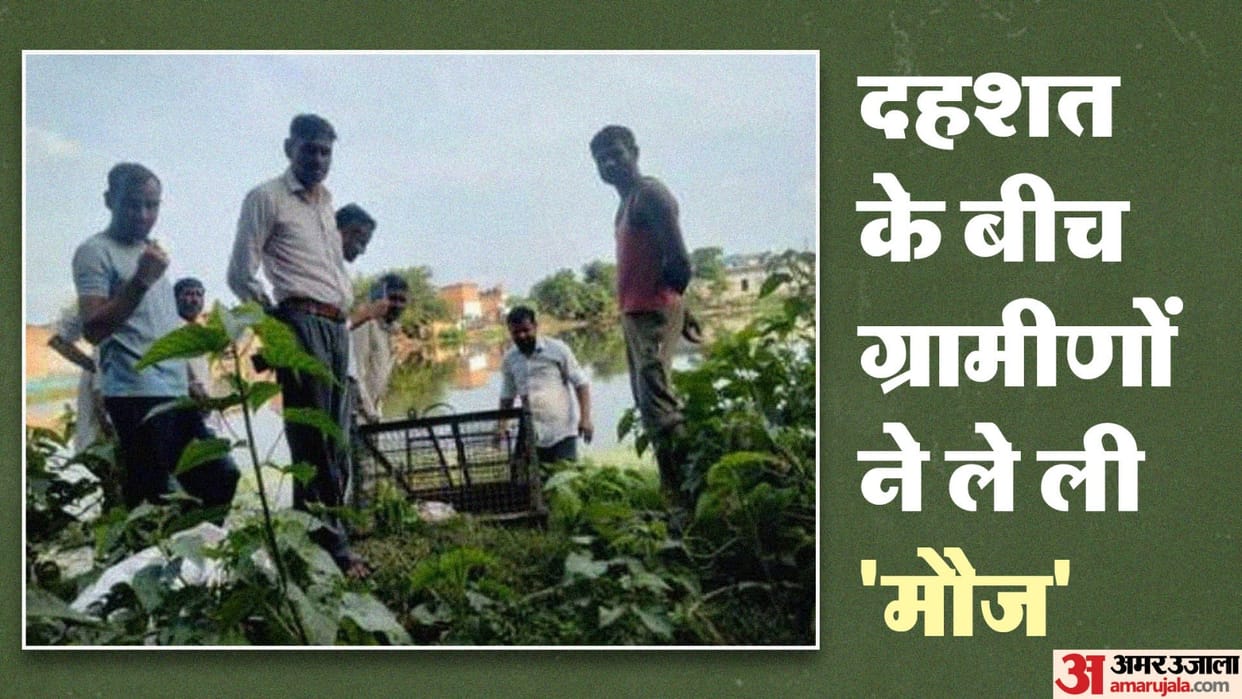 villagers stole and ate Cock kept in a cage for crocodile In Shahjahanpur