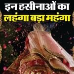 बॉलीवुड सेलेब्स