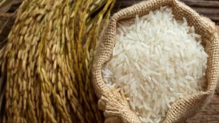 10 pesticides banned to save the taste of Basmati