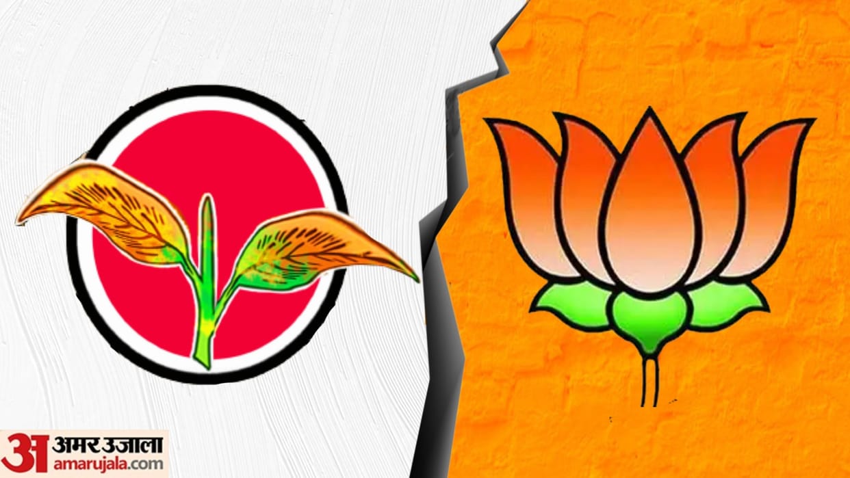 Tamil Nadu: BJP-AIADMK alliance broke if no consensus was reached on seat sharing formula