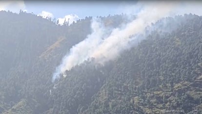 Fire breaks out in Kullu forests, huge damage to forest wealth