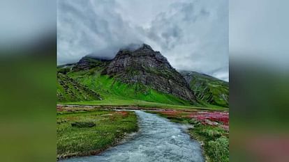 Uttarakhand Tourism Flowers Bloom on Harshil Kyarkoti Trek Beautiful Photos