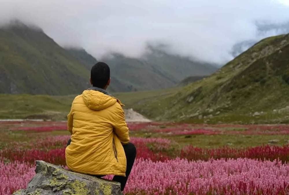 Uttarakhand Tourism Flowers Bloom on Harshil Kyarkoti Trek Beautiful Photos