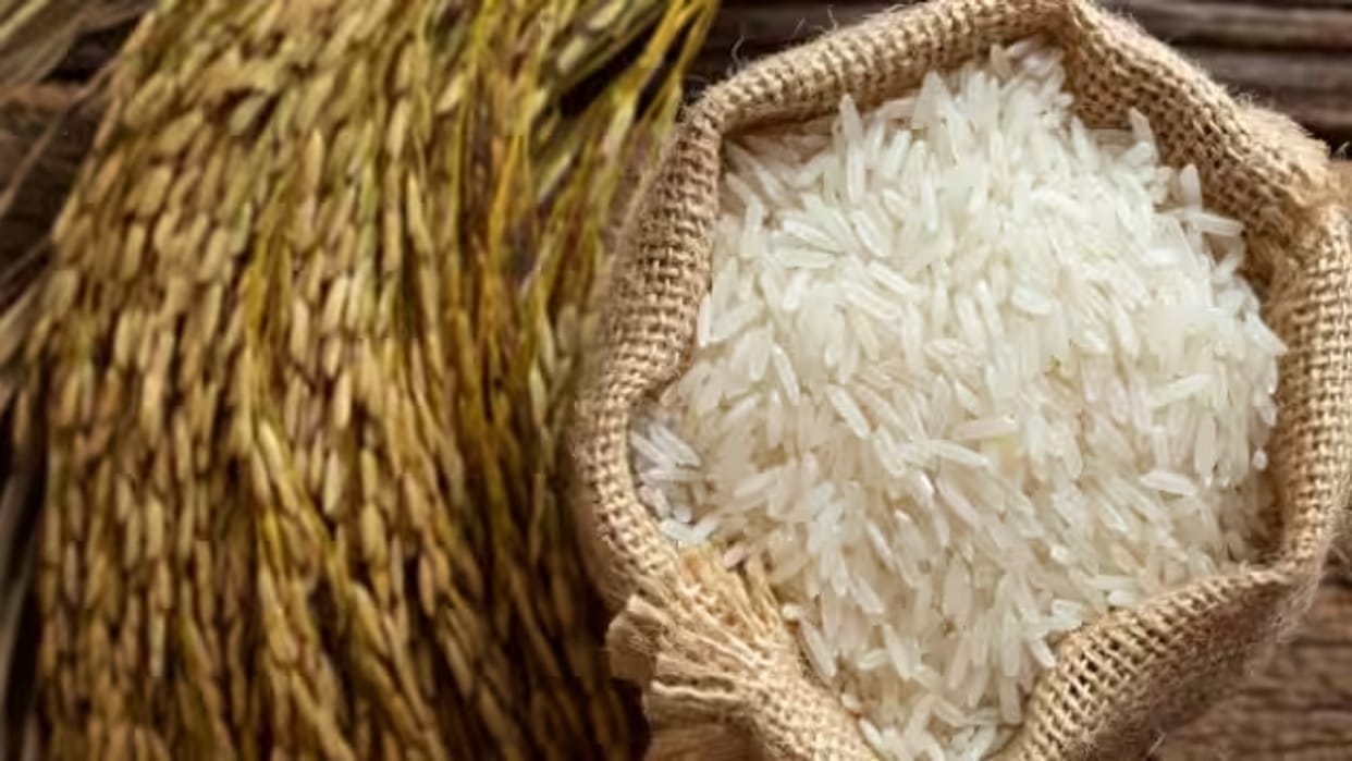 Rice Export: India Defends Decision in World Trade Organization, Asserts Its Regulation Not Ban