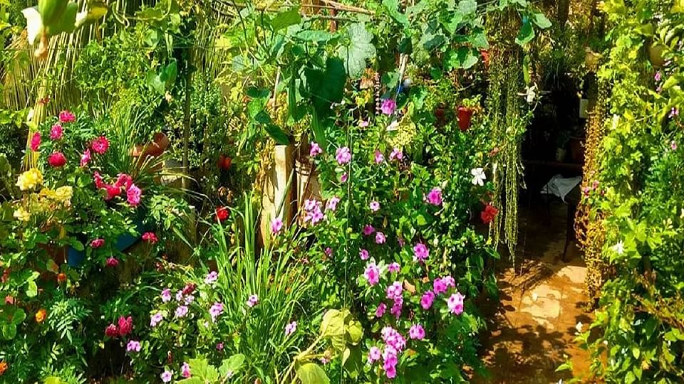 People can do gardening on the roof of their house in Delhi