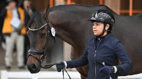 Asian Games sudipti hajela equestrian gold medal