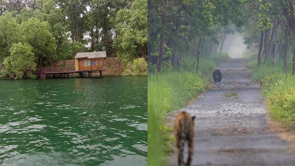 world tourism day Chuka Beach Tourist Place in Pilibhit Tiger Reserve