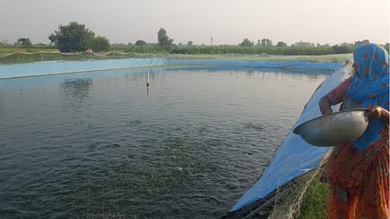 Shyamo Devi and Sunita are earning 2 to 3 lakh by fish farming in Shamli