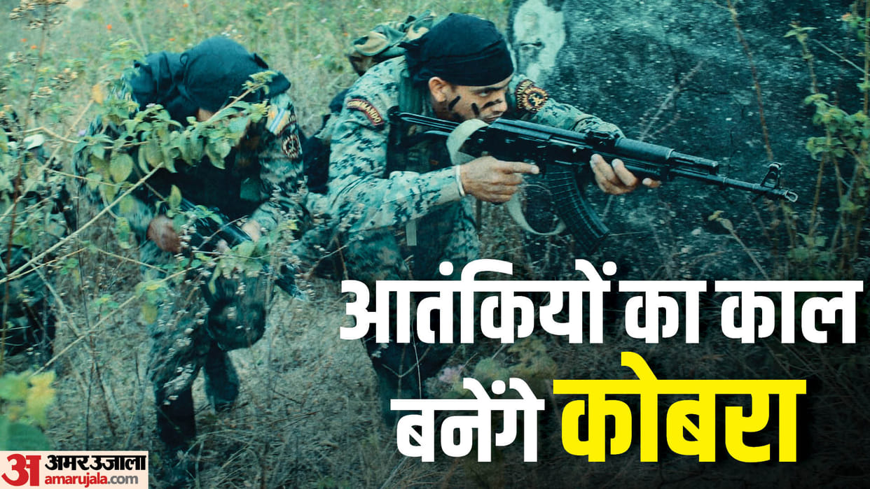 Jammu Kashmir: 38 terrorists eliminated, CoBRA Commandos will do search operation in Pir Panjal caves