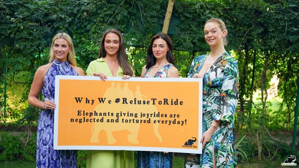 Miss Universe Great Britain 2023 visit Elephant Conservation Center mathura