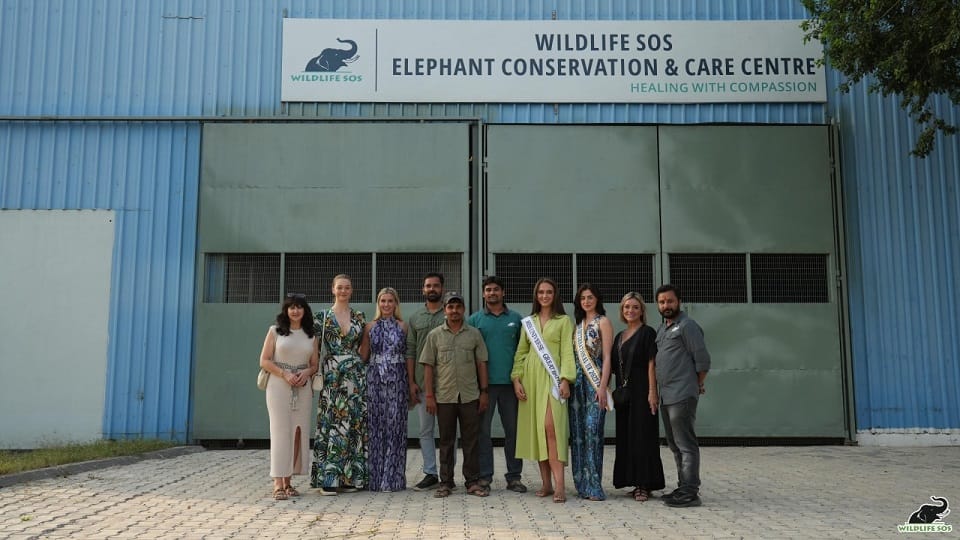 Miss Universe Great Britain 2023 visit Elephant Conservation Center mathura