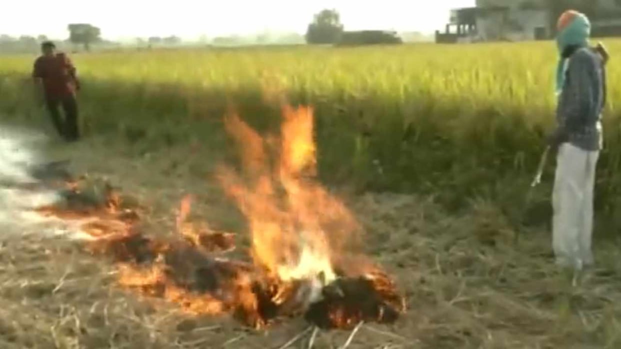1068 cases of stubble burning registered in Punjab on Sunday