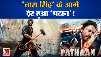 Sunny Deol's film 'Gadar 2' again overtakes 'Pathan'!