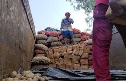 मऊ: ट्रक में आलू की बोरियों के बीच छिपा रखी थी लाखों की अवैध कफ सिरप, तस्कर गिरफ्तार Illegal cough syrup worth of many lakhs was hidden between sacks of potatoes in truck smuggler arrested
