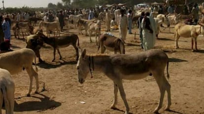90 pc of the beggars arrested in foreign are Pakistani, how country's situation worsened