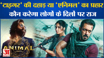Ranbir Kapoor's Animal or Salman Khan's Tiger 3, who was ahead in the eyes of fans?