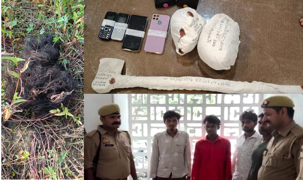 Step sons and husband had committed suicide by strangulation, then they had chopped off the head with an axe