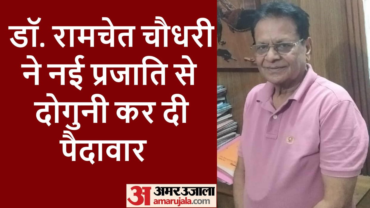 Dr Ramchet Chaudhary doubled rice yield with new variety
