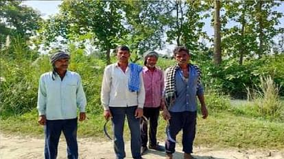 Tiger attacks laborers cutting grass in fields in Pilibhit