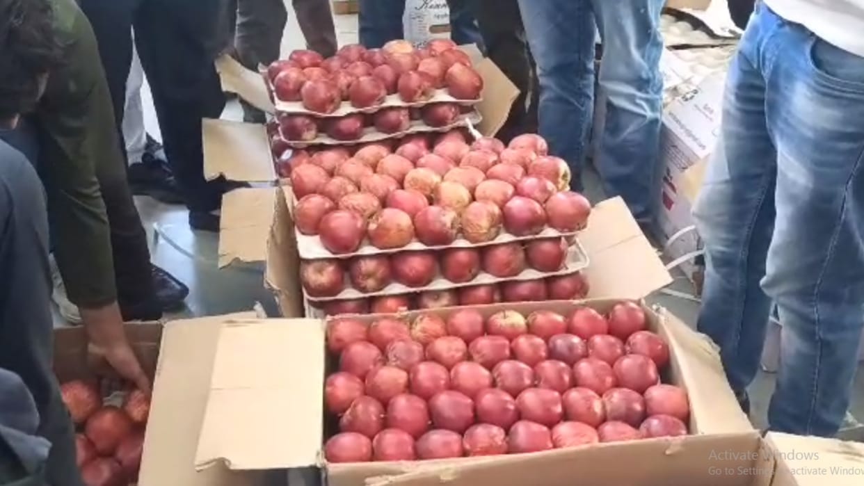 1.22 lakh apple boxes reached sabji mandi Tapri Kinnaur Himachal Pradesh