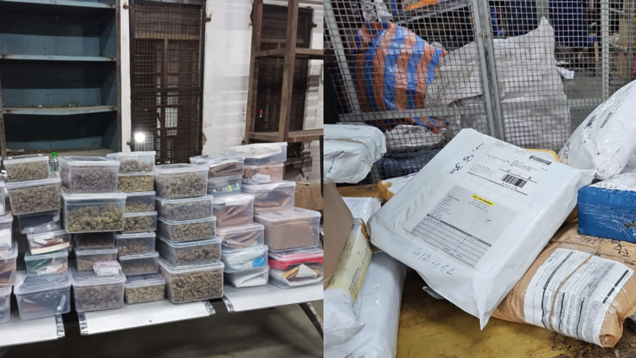 Ahmedabad Cyber Crime and Customs Department busted an international racket allegedly supplying drugs