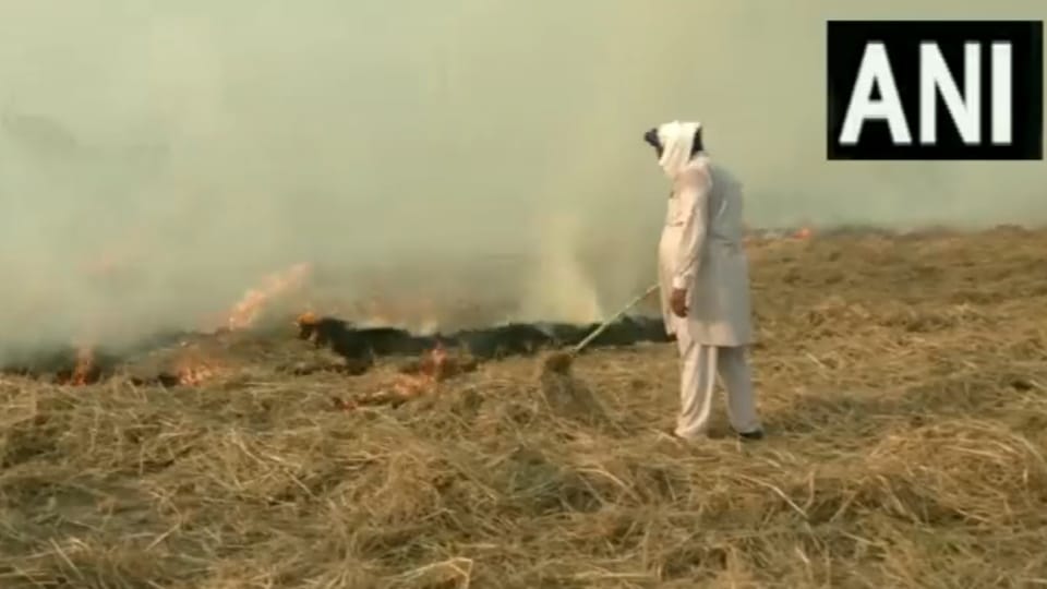 342 cases of stubble burning in Punjab in 16 days