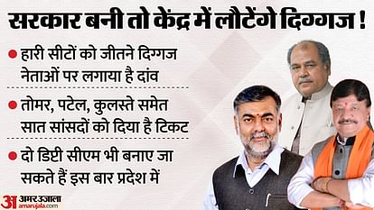 MP Election: चुनाव के बाद BJP के दिग्गजों का क्या होगा? MP में रहेंगे या जाएंगे दिल्ली, जानिए पार्टी का प्लान MP Election: What will happen to BJP stalwarts after the elections? Will you stay in MP or go to Delhi