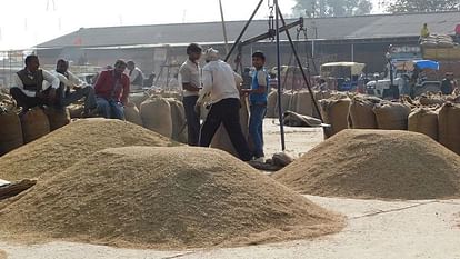 151 purchasing centers made for purchase of paddy in Bareilly