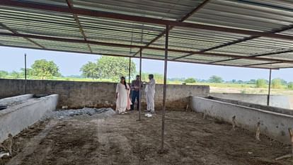 Development Block Officer conducted surprise inspection of four cow sheds in Etah